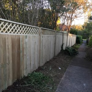 TIMBER PALING FENCE 15