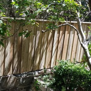 TIMBER PALING FENCE 25