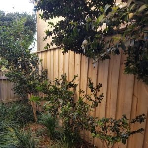 TIMBER PALING FENCE 29