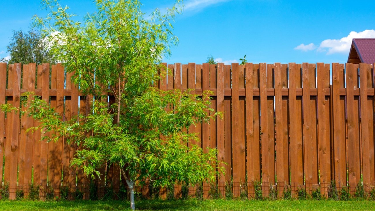 repair wooden fences in north shore